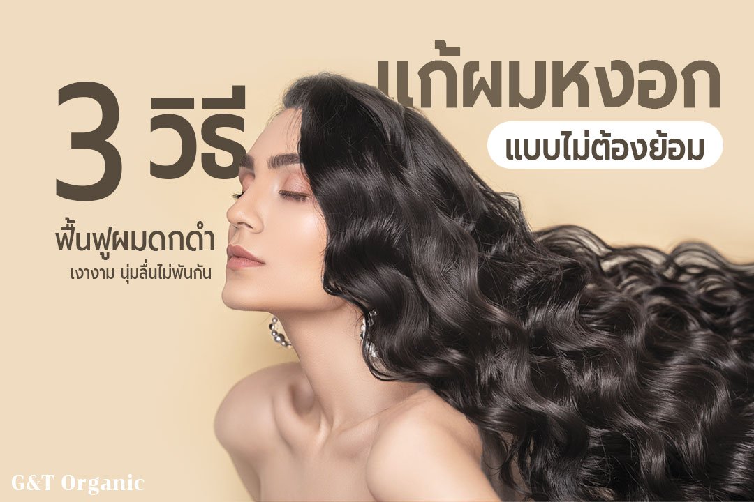 3 วิธีแก้ผมหงอก แบบไม่ต้องย้อม ฟื้นฟูผมดกดำ เงางาม นุ่มลื่นไม่พันกัน 3 วิธีแก้ผมหงอก แบบไม่ต้องย้อม ฟื้นฟูผมดกดำ เงางาม นุ่มลื่นไม่พันกัน