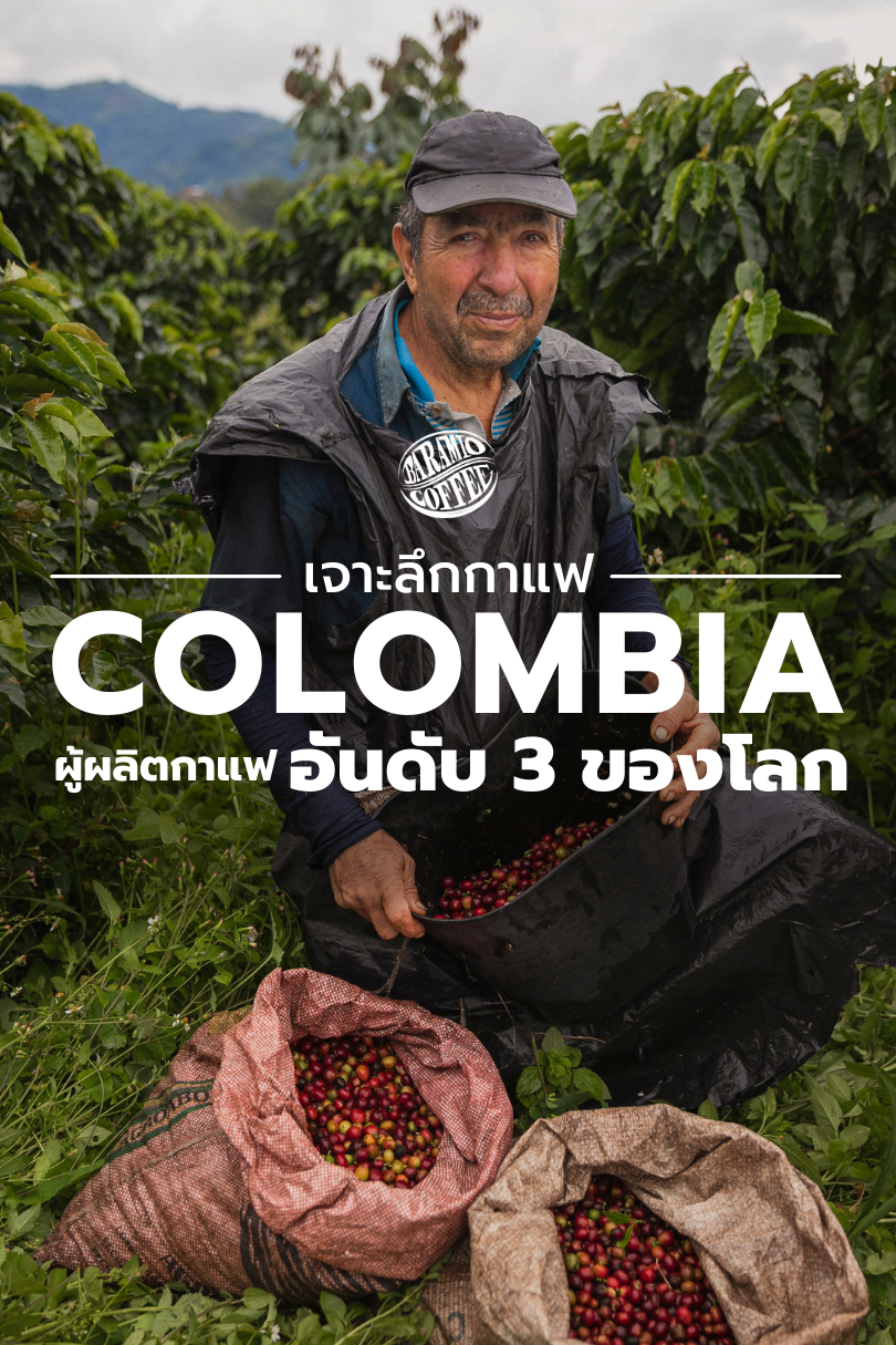 เจาะลึกกาแฟ Colombia ผู้ผลิตกาแฟอันดับ 3 ของโลก