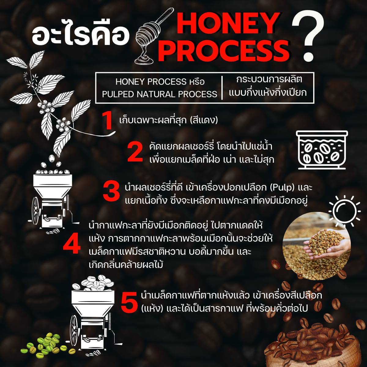 Baramio Coffee Baramio Coffee