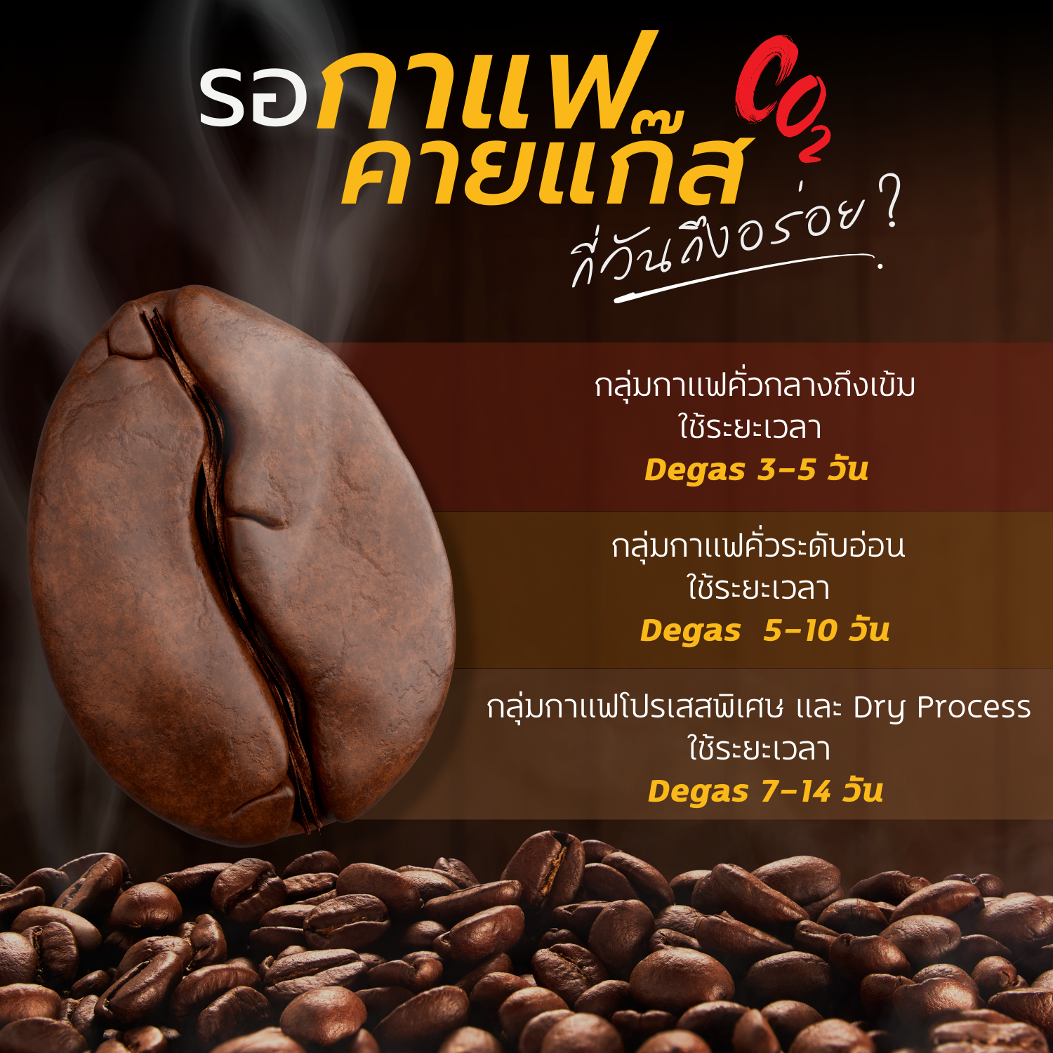 BARAMIO COFFEE BARAMIO COFFEE