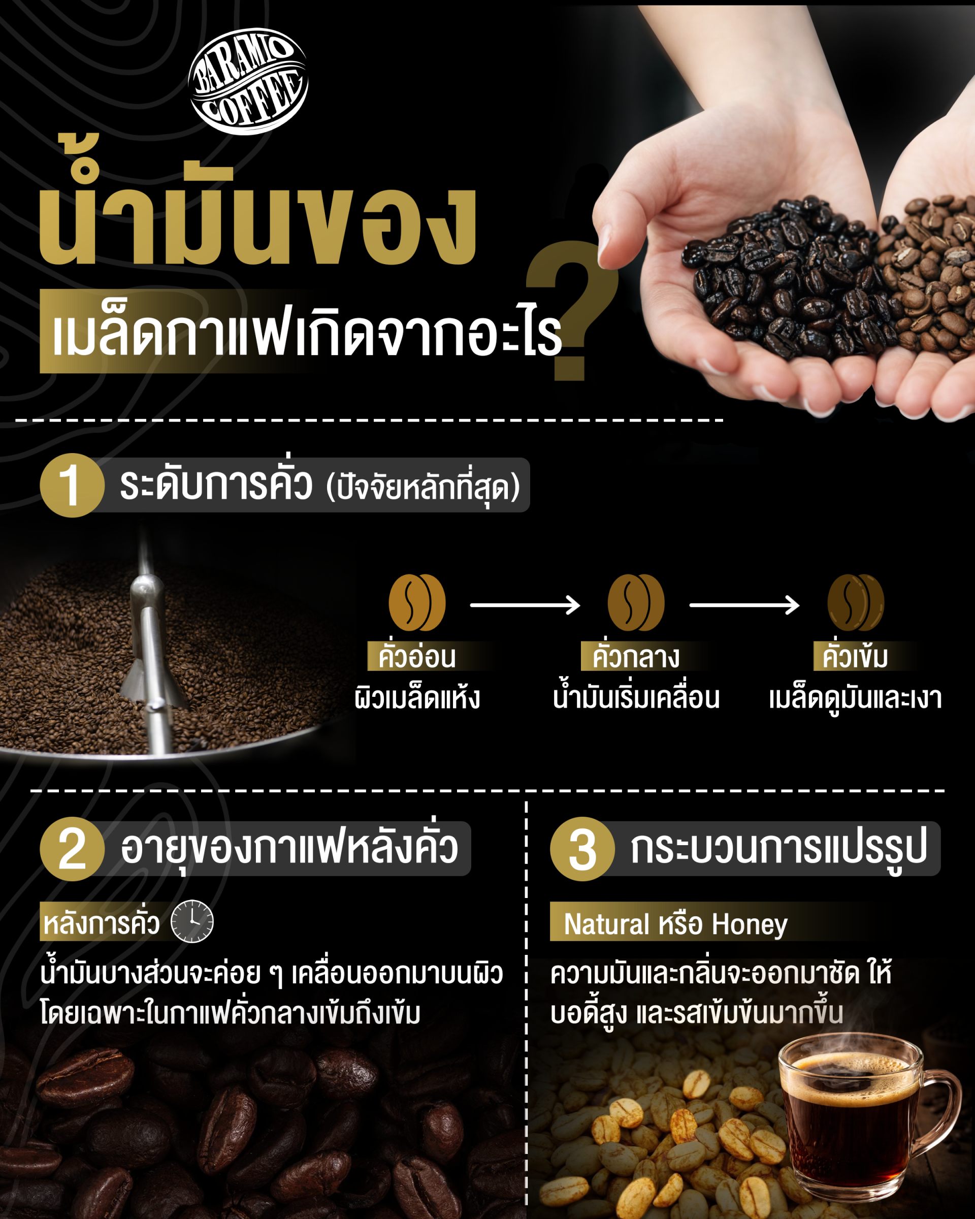 น้ำมันของเมล็ดกาแฟเกิดจากอะไร?