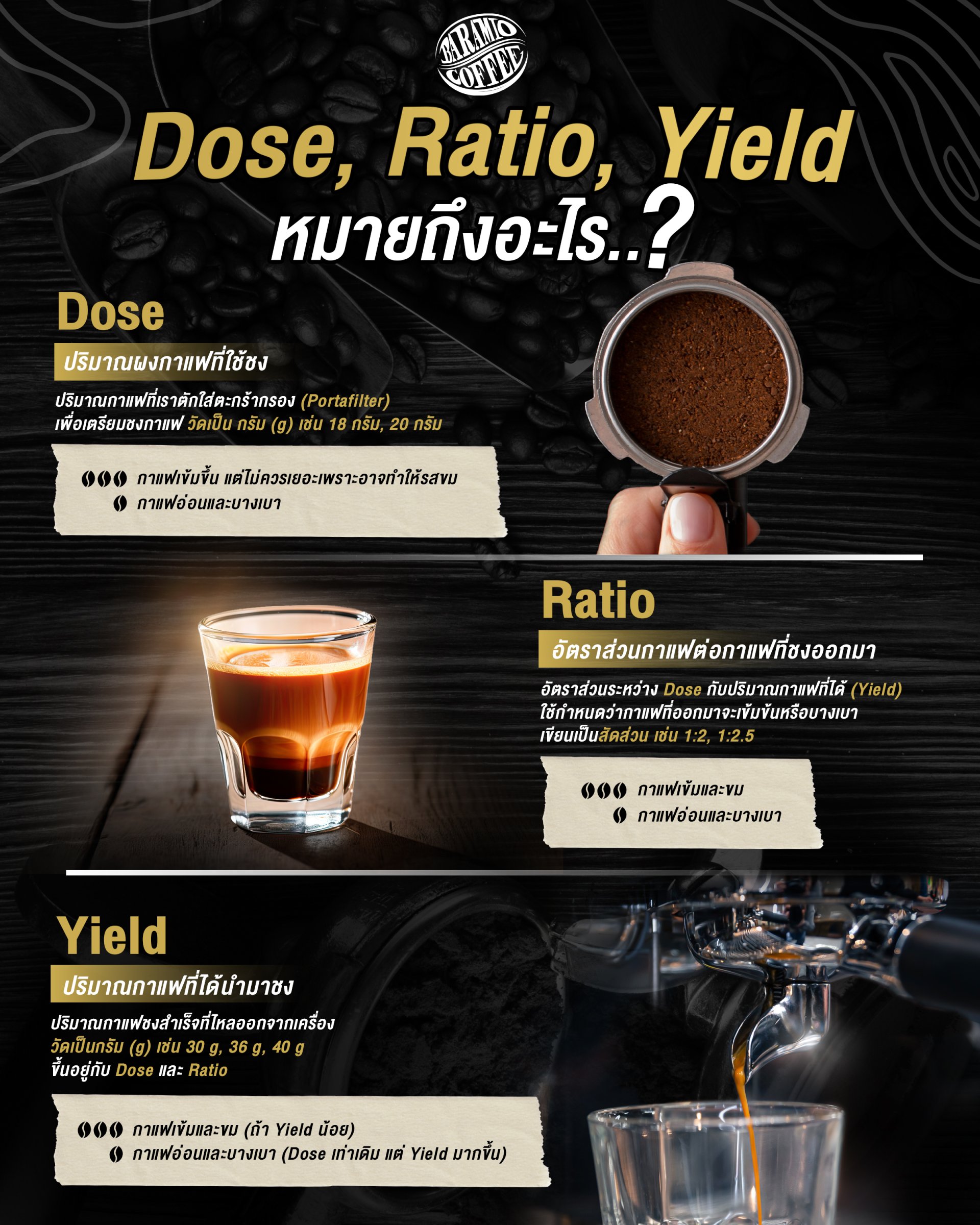 Dose, Ratio, Yield หมายถึงอะไร? ทำไมบาริสต้าต้องรู้