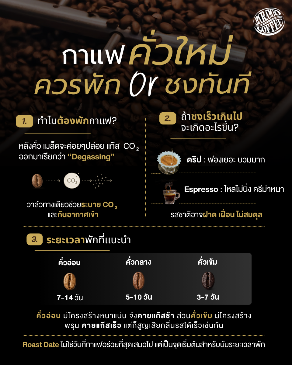 กาแฟคั่วใหม่ ควรชงทันทีหรือพักไว้ก่อน?