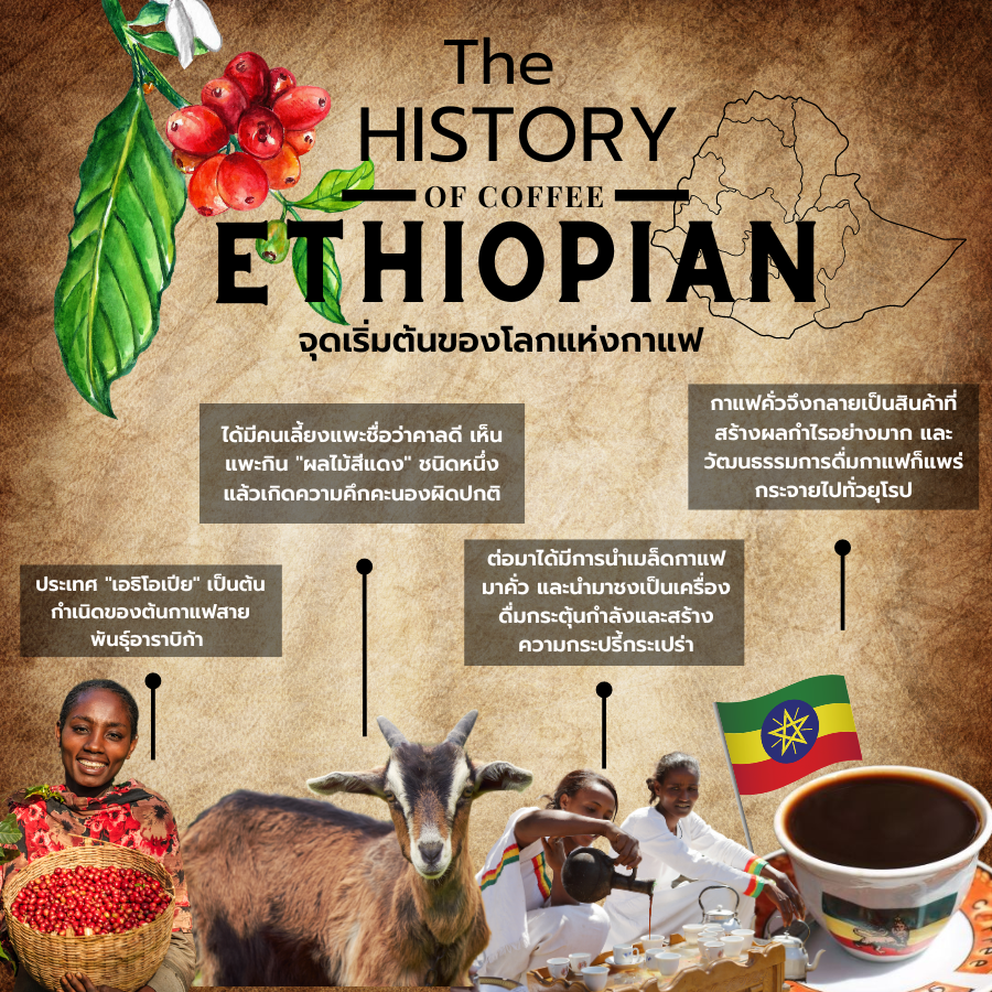 Baramio Coffee Baramio Coffee