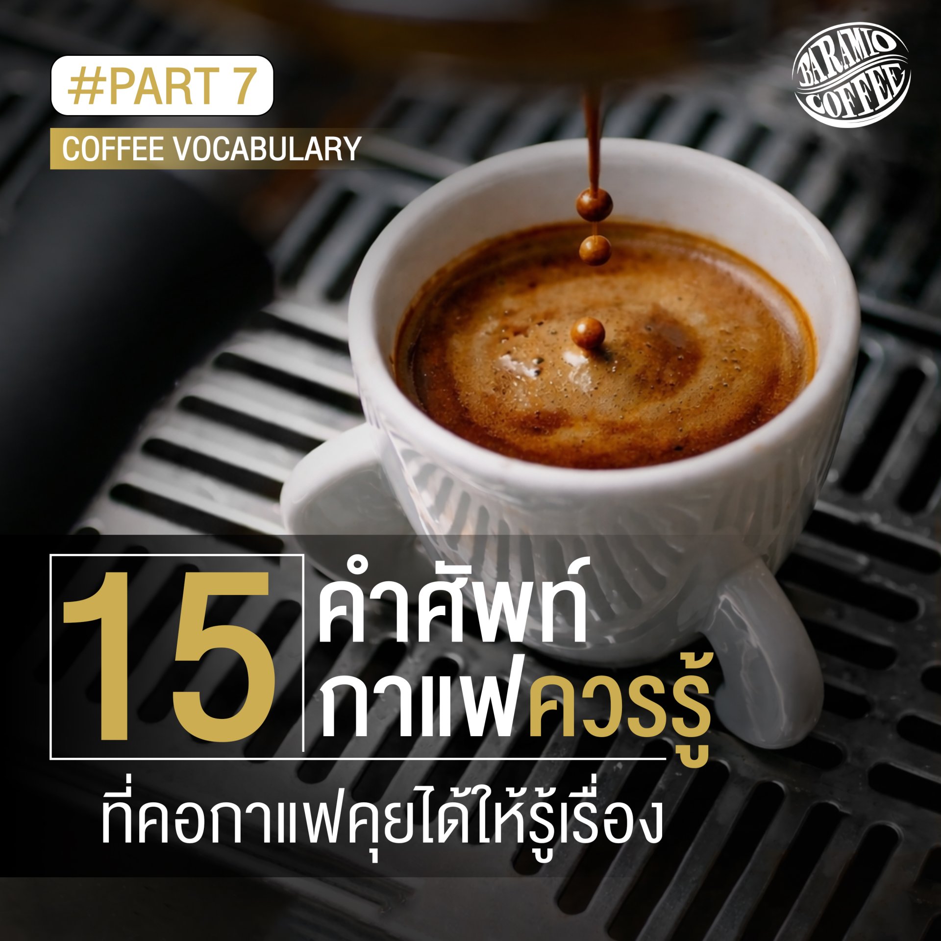 15 คำศัพท์กาแฟควรรู้ ที่คอกาแฟคุยได้ให้รู้เรื่อง PART 7