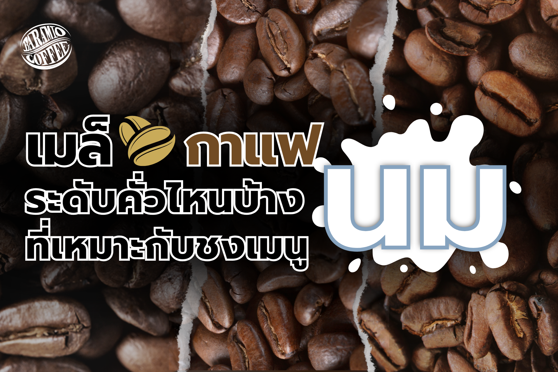 เมล็ดกาแฟคั่วบด ระดับคั่วไหนบ้างที่เหมาะกับชงเมนูนม ?  เมล็ดกาแฟคั่วบด ระดับคั่วไหนบ้างที่เหมาะกับชงเมนูนม ?