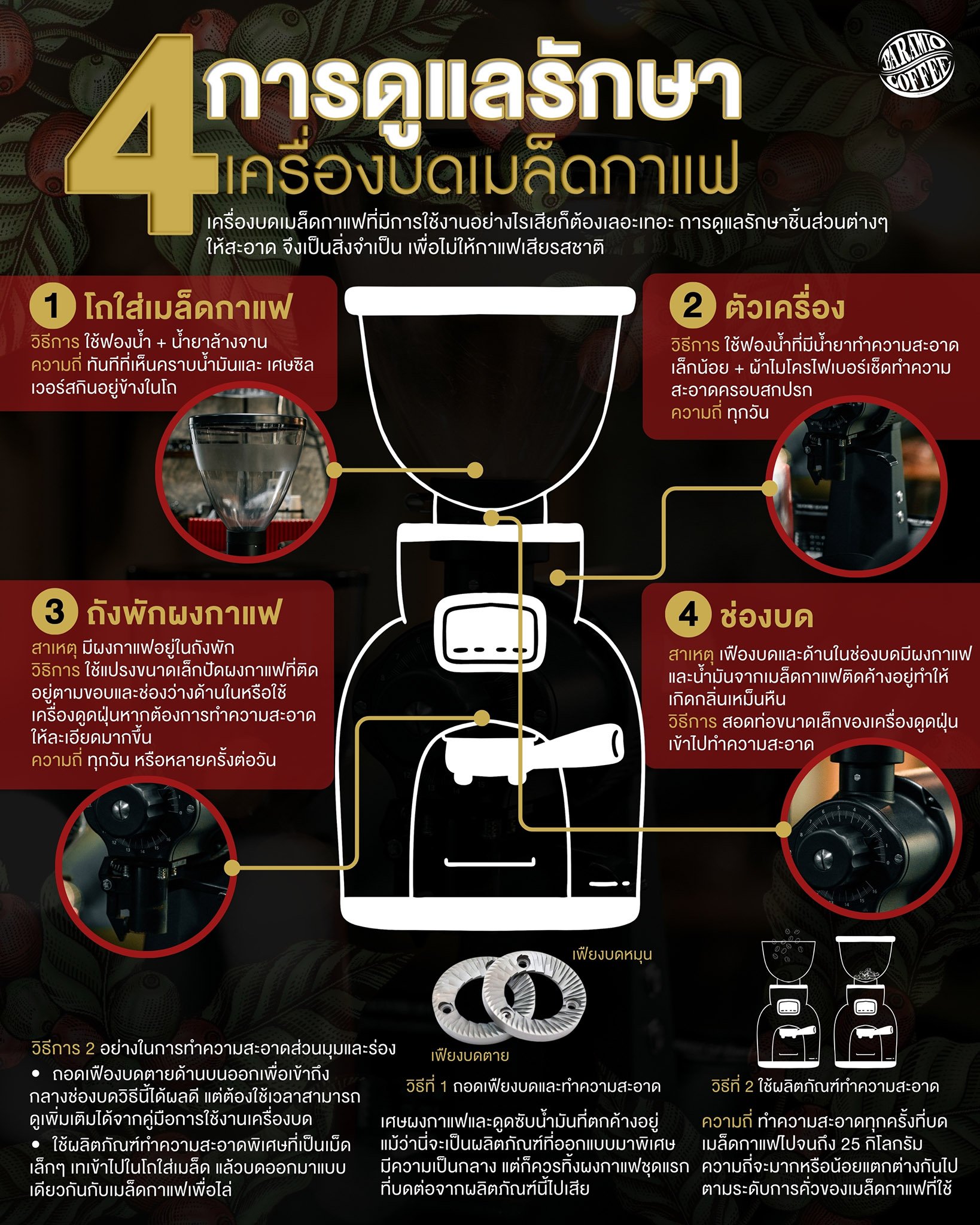 4 วิธีการการดูแลรักษาเครื่องบดเมล็ดกาแฟ ง่ายๆไปดูกัน 4 วิธีการการดูแลรักษาเครื่องบดเมล็ดกาแฟ ง่ายๆไปดูกัน
