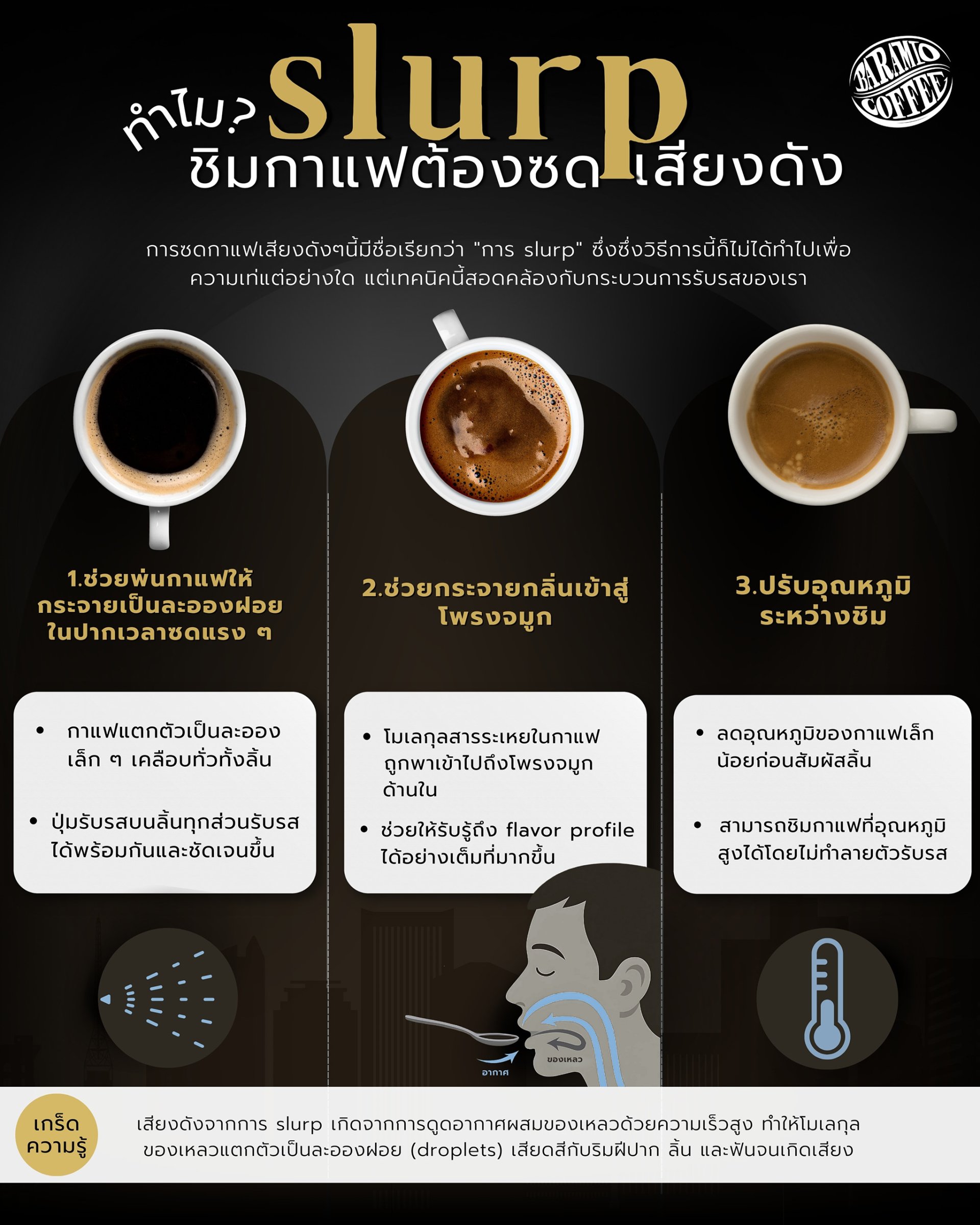 ทำไมตอนชิมกาแฟต้องซดเสียงดัง (slurp)