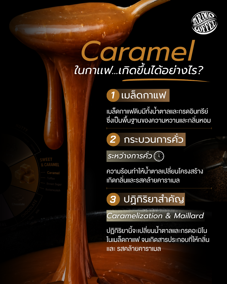 รสคาราเมลในกาแฟ เกิดขึ้นได้ยังไง? 