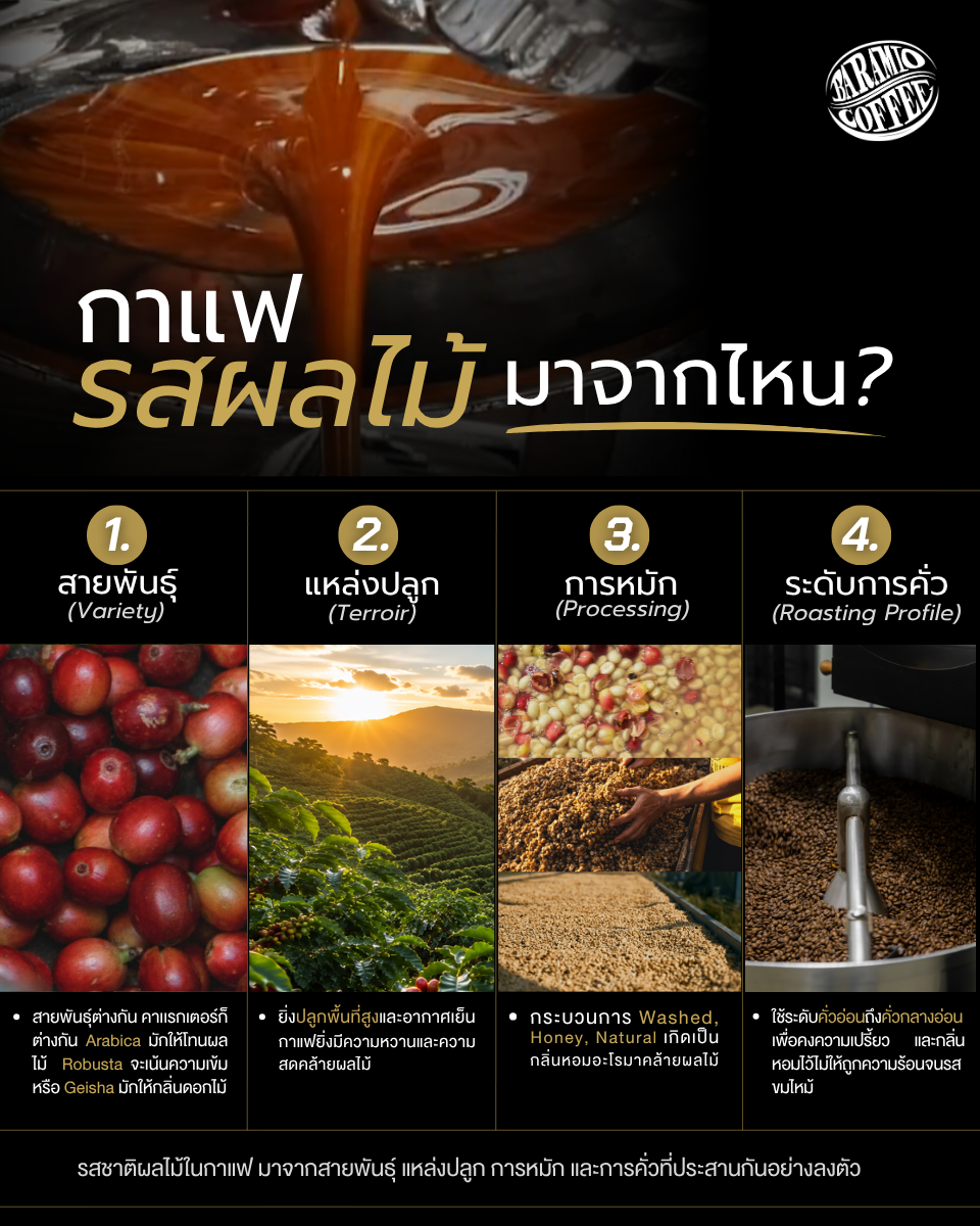 กาแฟรสผลไม้มาจากไหน ?