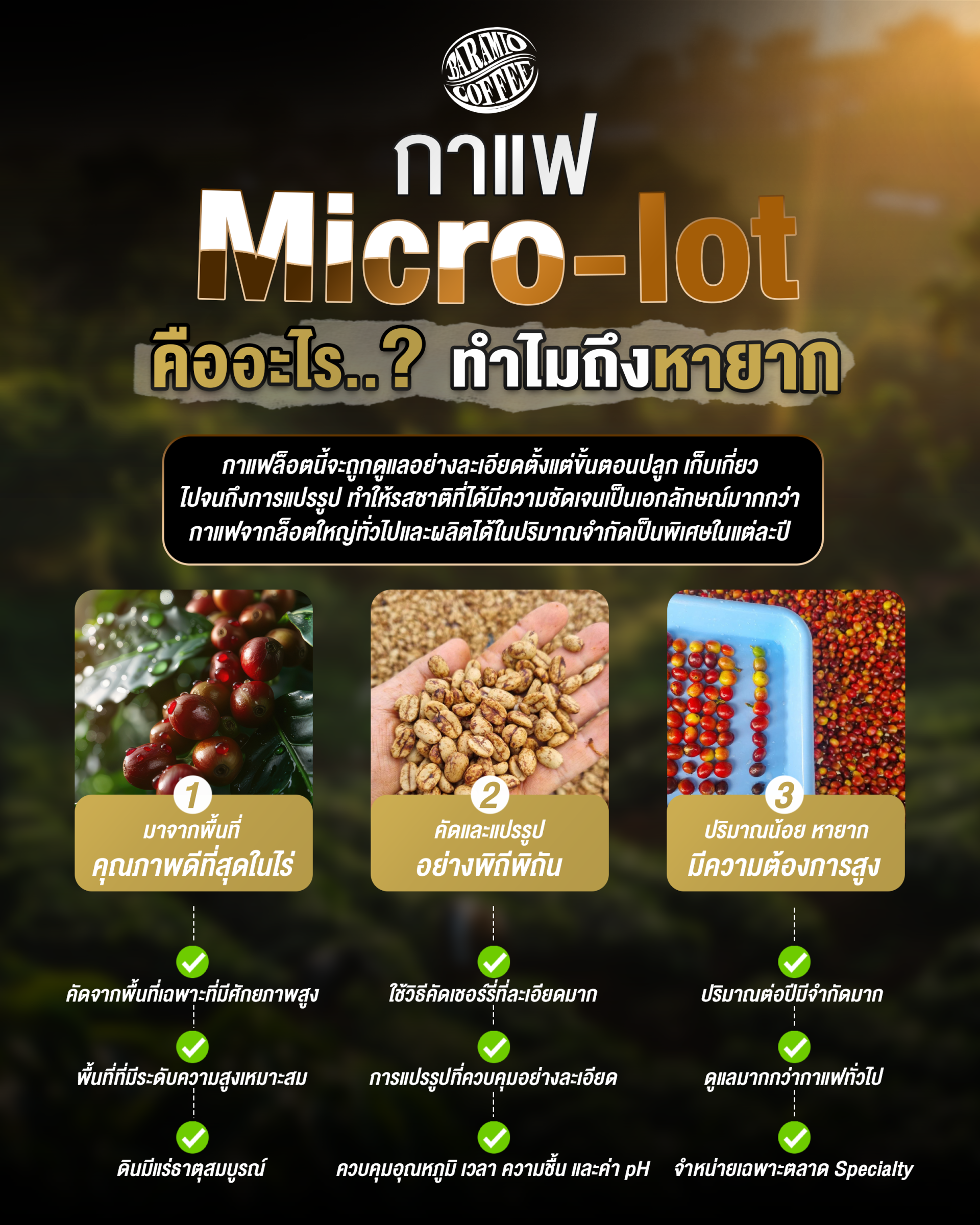กาแฟ Micro-lot คืออะไร..? ทำไมถึงหายาก