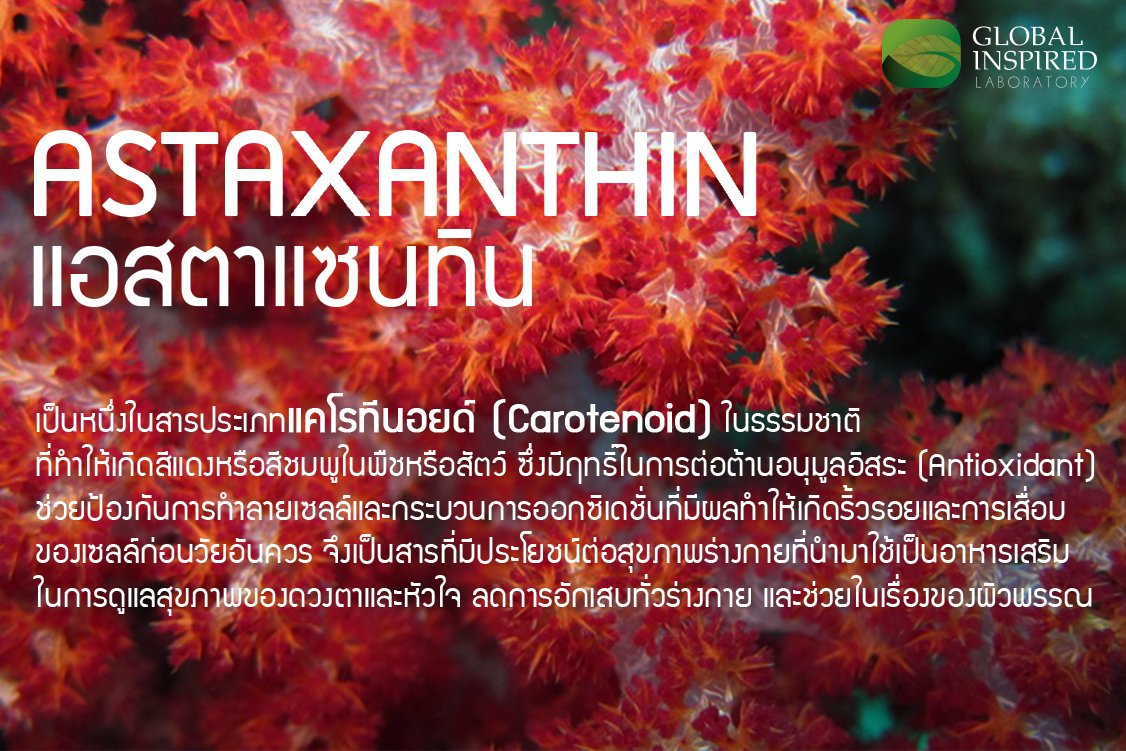 Astaxanthin คืออะไร? Astaxanthin คืออะไร?