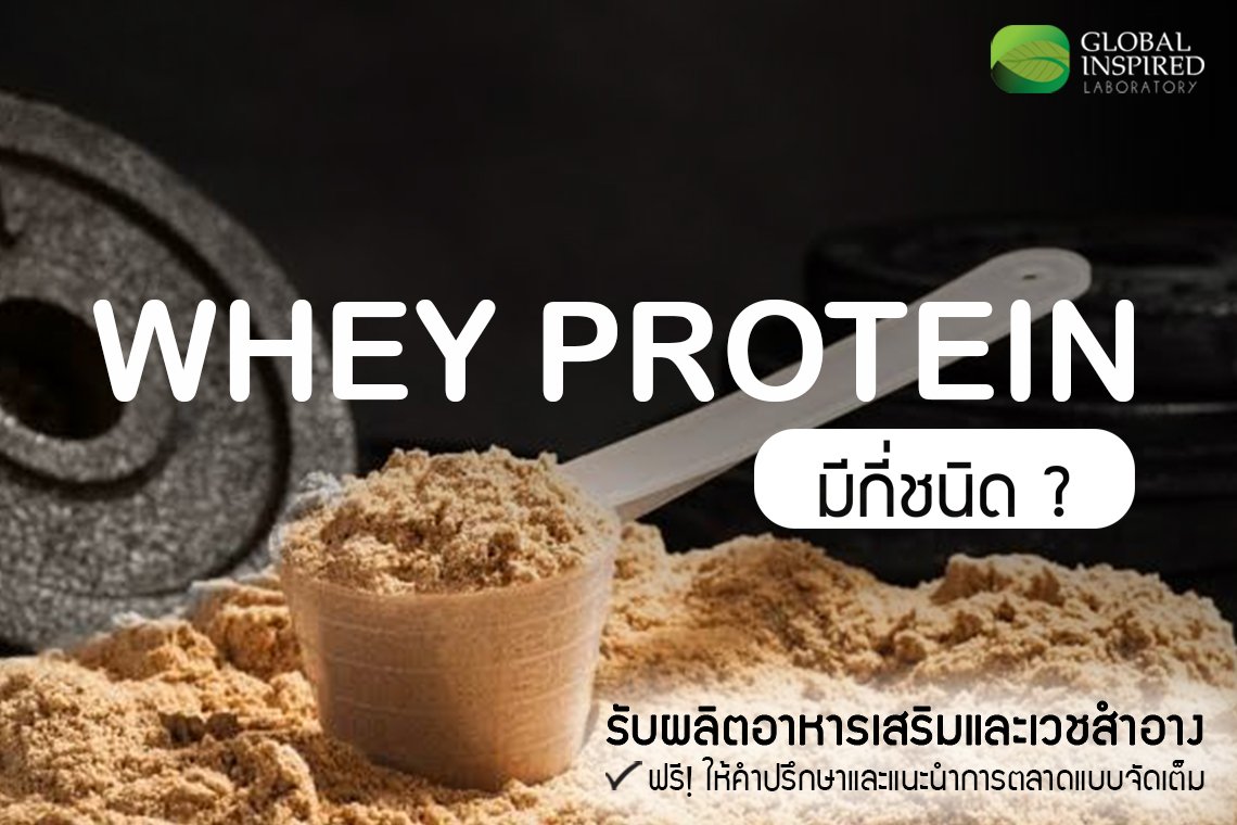 เวย์โปรตีนมีกี่ชนิด? เวย์โปรตีนมีกี่ชนิด?