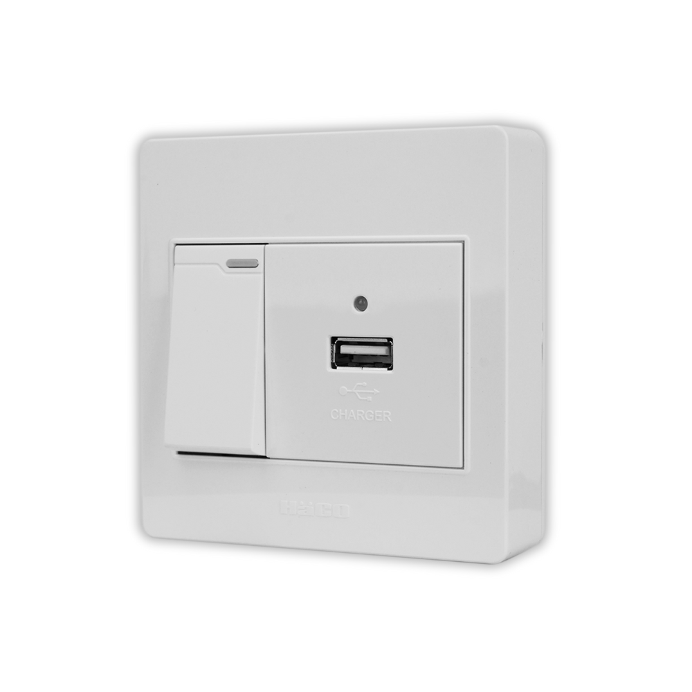 Single Module Usb Socket USB Socket Module 2.1 A + 1 Gang 1 Way Switch Set