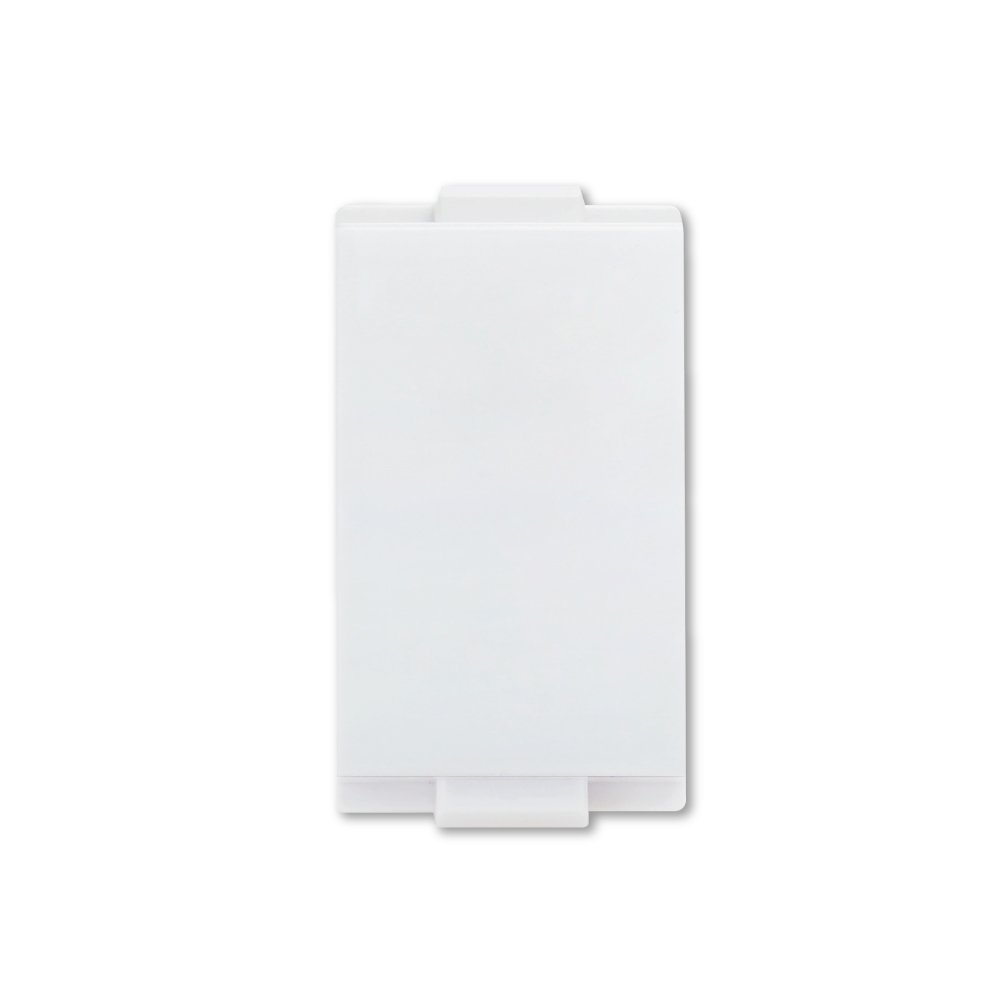 1 Gang Blank Plate Module (White Color) - hacothailand