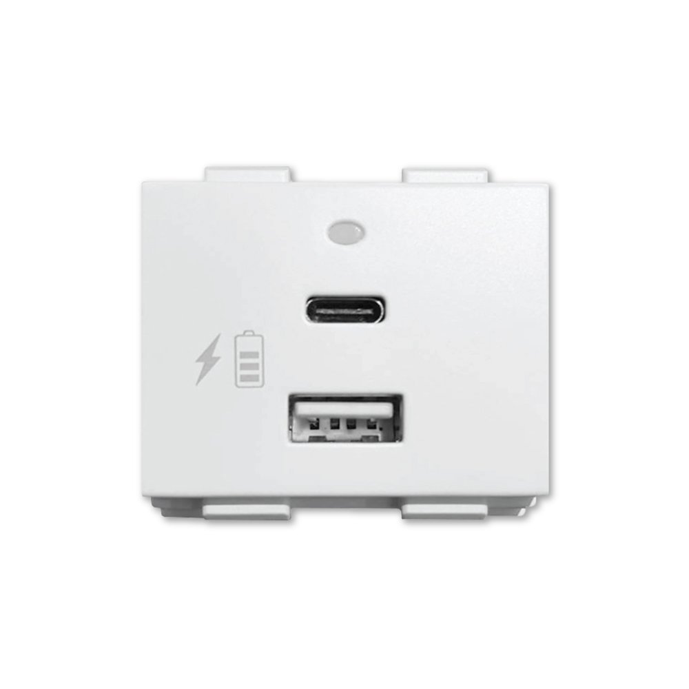 Type C Socket Module White USB Type A and Type c socket