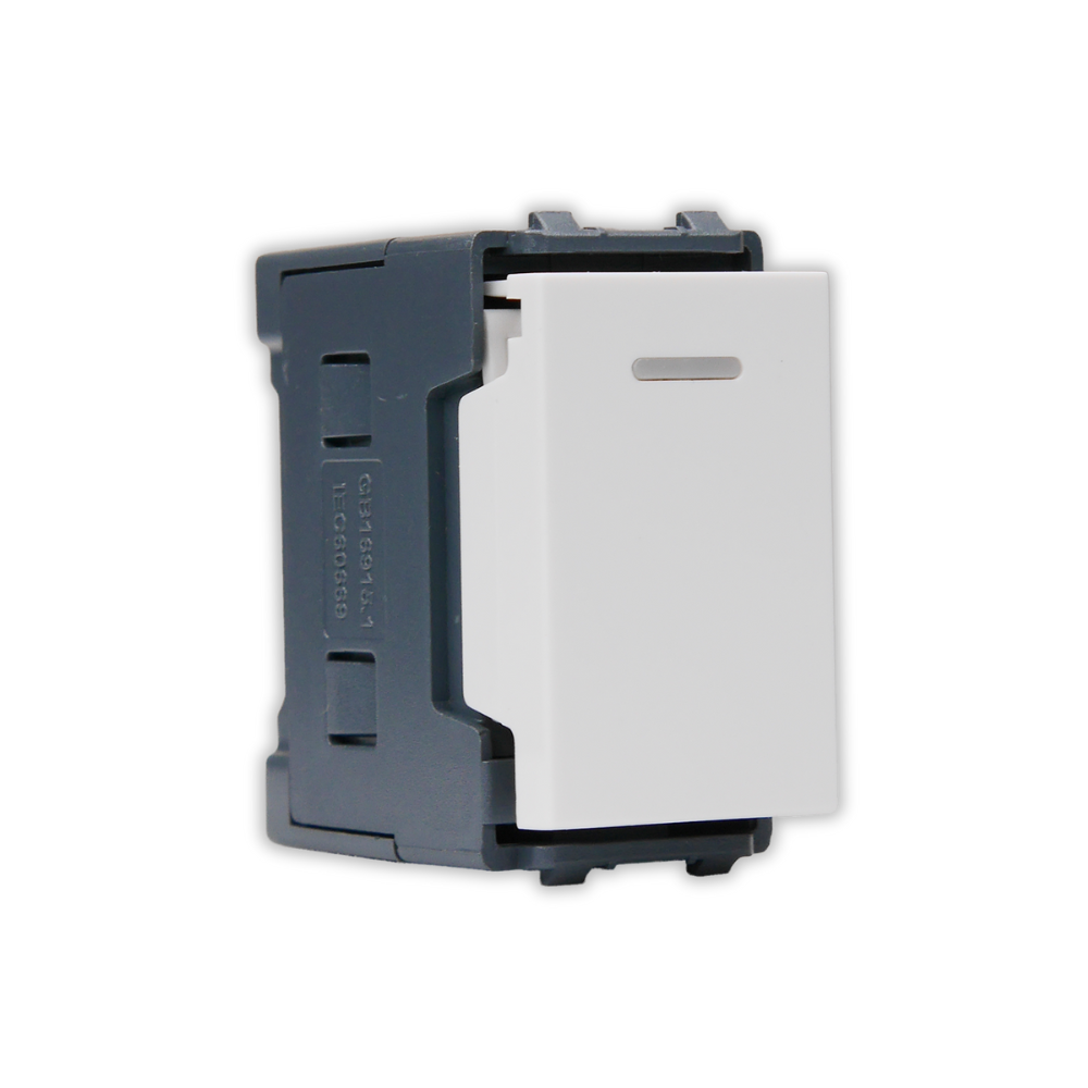 1 Way Switch 1 Module