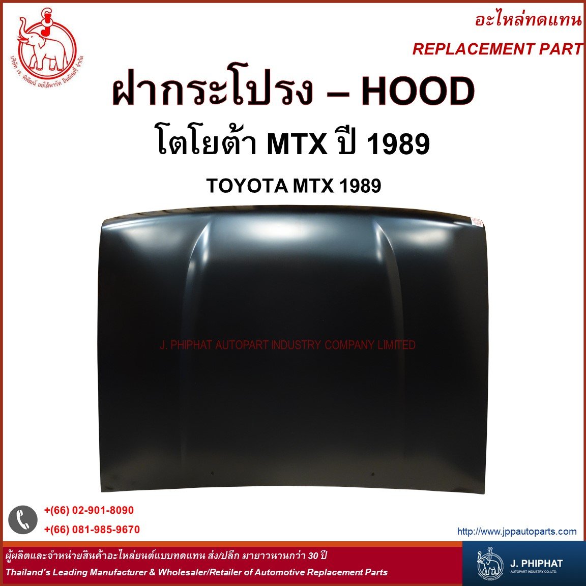 Hood - Toyota MTX 1989