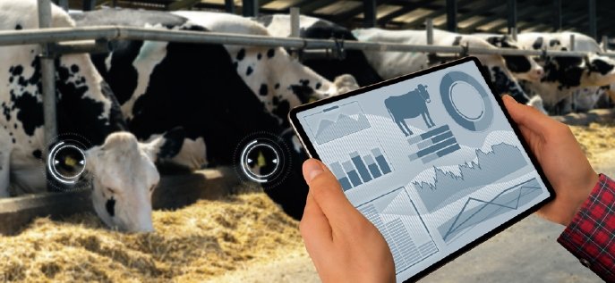 Punching Machine for drilling steel.