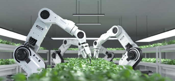 Stainless steel square tube