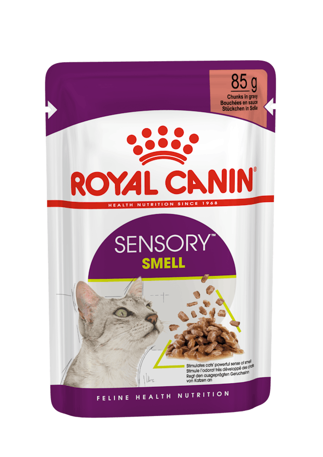 ROYAL CANIN  FHW SENSORY SMELL JELLY 12X85G