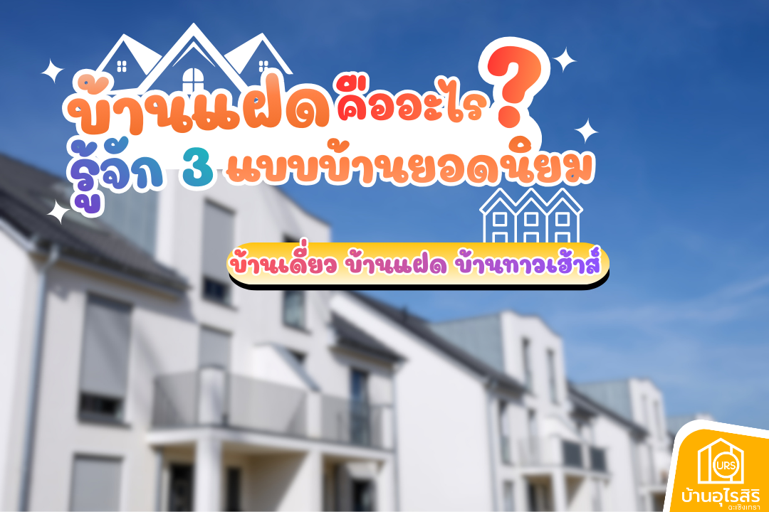 บ้านแฝด คืออะไร รู้จัก 3 แบบบ้านยอดนิยม บ้านแฝด บ้านเดี่ยว ทาวน์เฮ้าส์