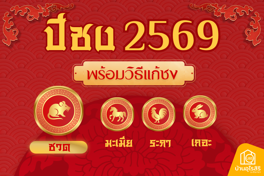 ปีชง 2569 มีปีอะไรบ้าง เช็กปีนักษัตร พร้อมเคล็ดลับแก้ชง เสริมดวงดี