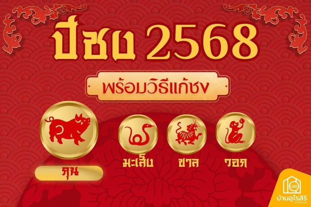 เช็คปีชง 2568 พร้อมวิธีแก้ชง เปิดประตูโชคลาภ รับปีมะเส็ง เช็คปีชง 2568 พร้อมวิธีแก้ชง เปิดประตูโชคลาภ รับปีมะเส็ง