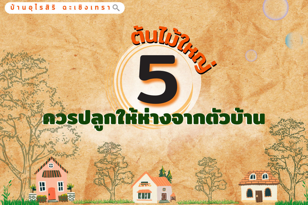 5 ต้นไม้ควรปลูกให้ห่างจากตัวบ้าน ก่อนรากทำลายโครงสร้าง 5 ต้นไม้ควรปลูกให้ห่างจากตัวบ้าน ก่อนรากทำลายโครงสร้าง