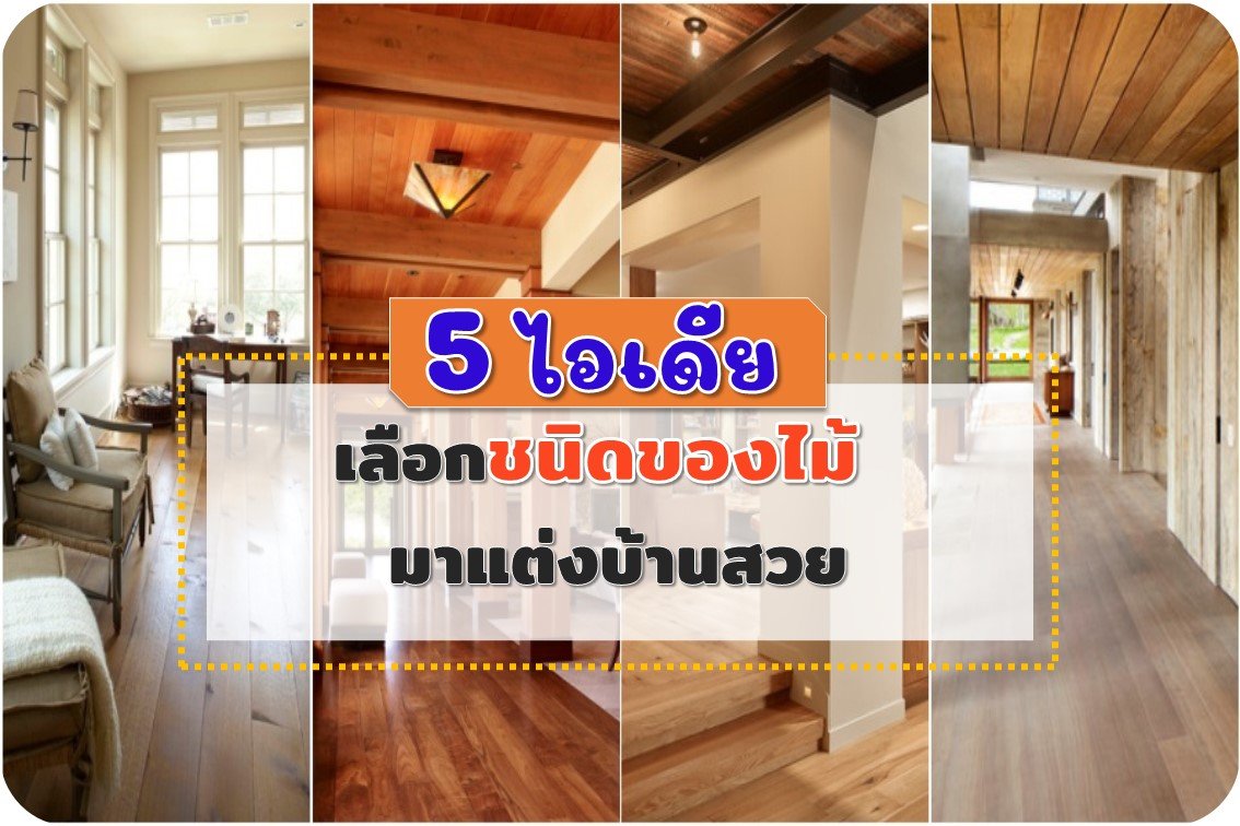 5 ไอเดียเลือกชนิดไม้มาแต่งบ้านสวย 5 ไอเดียเลือกชนิดไม้มาแต่งบ้านสวย