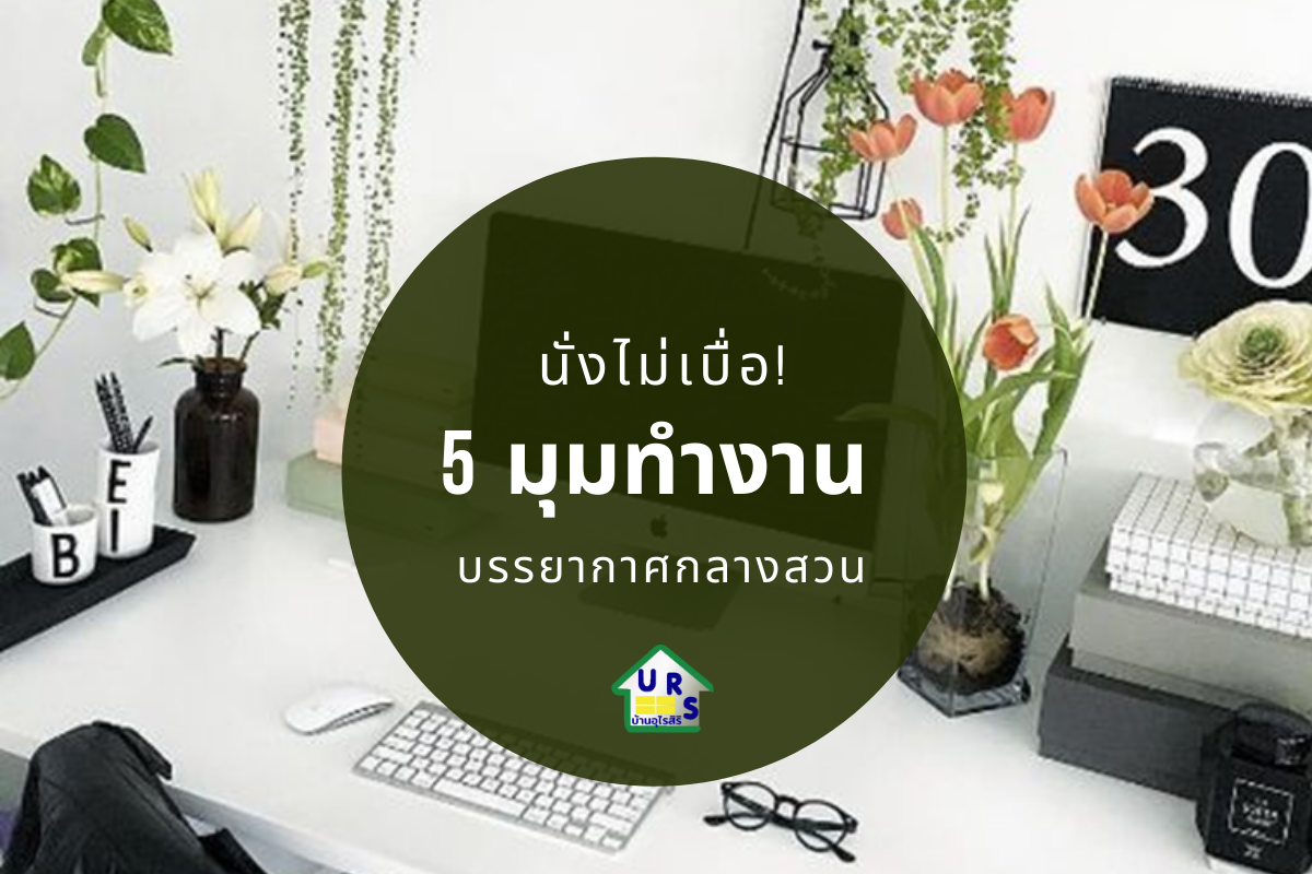 ไอเดียจัดโต๊ะทำงานด้วยต้นไม้ ให้ได้ บรรยากาศเหมือยอยุ่ในสวน ไอเดียจัดโต๊ะทำงานด้วยต้นไม้ ให้ได้ บรรยากาศเหมือยอยุ่ในสวน