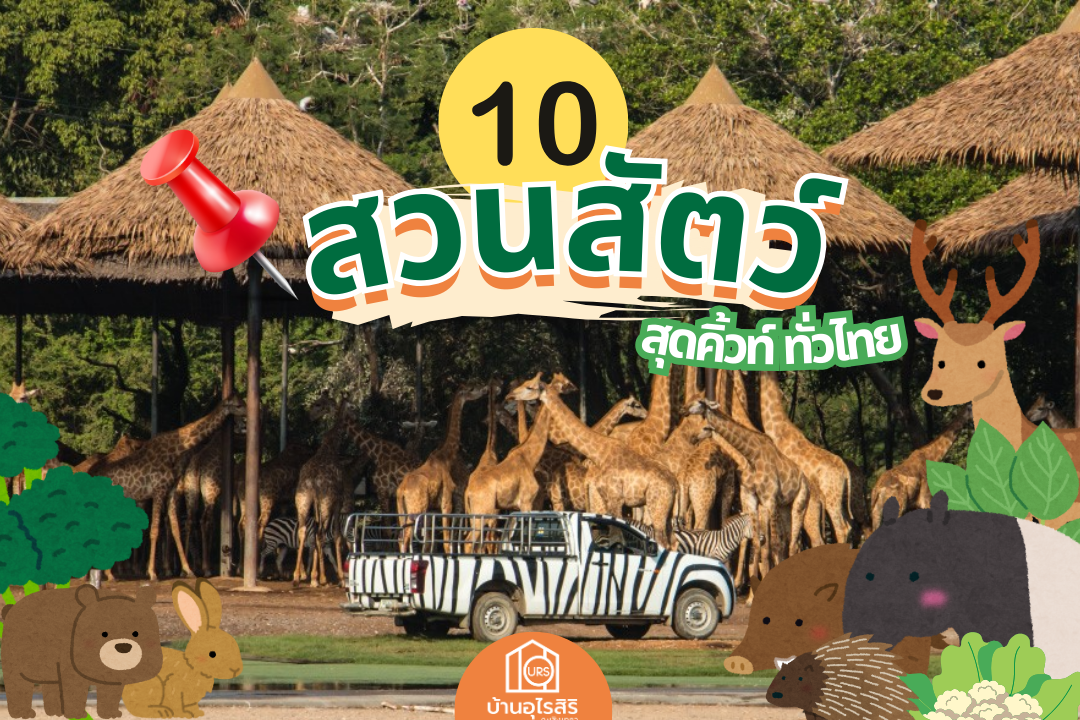 10 สวนสัตว์ ทั่วไทย 10 สวนสัตว์ ทั่วไทย