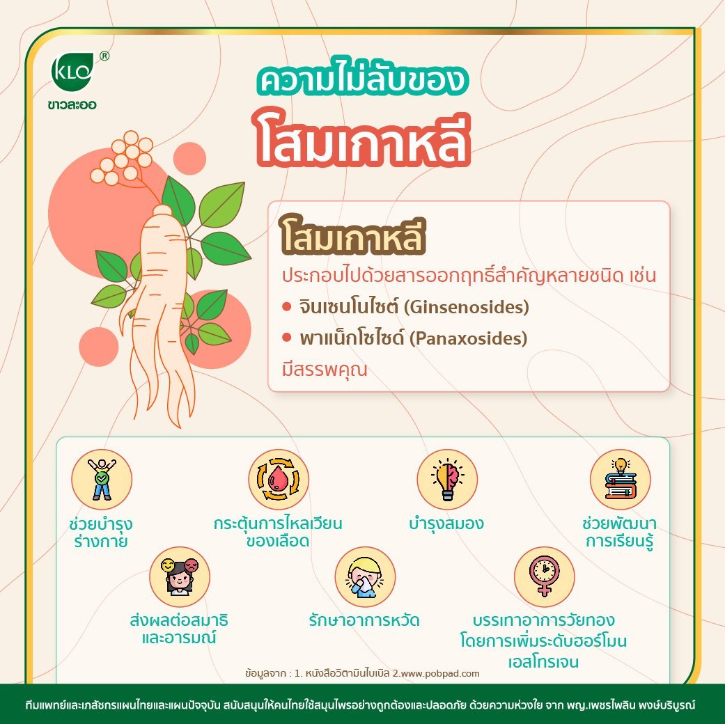 ความไม่ลับของโสมเกาหลี