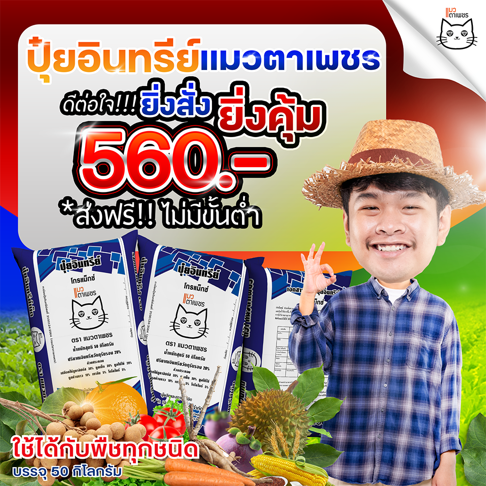 ปุ๋ยอินทรีย์แมวตาเพชร ยิ่งซื้อยิ่งคุ้ม