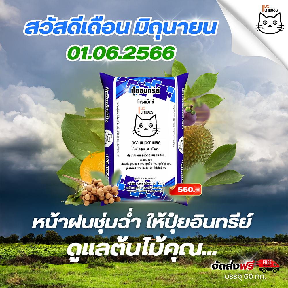 ปุ๋ยอินทรีย์แมวตาเพชร สวัสดีเดือนมิถุนายน