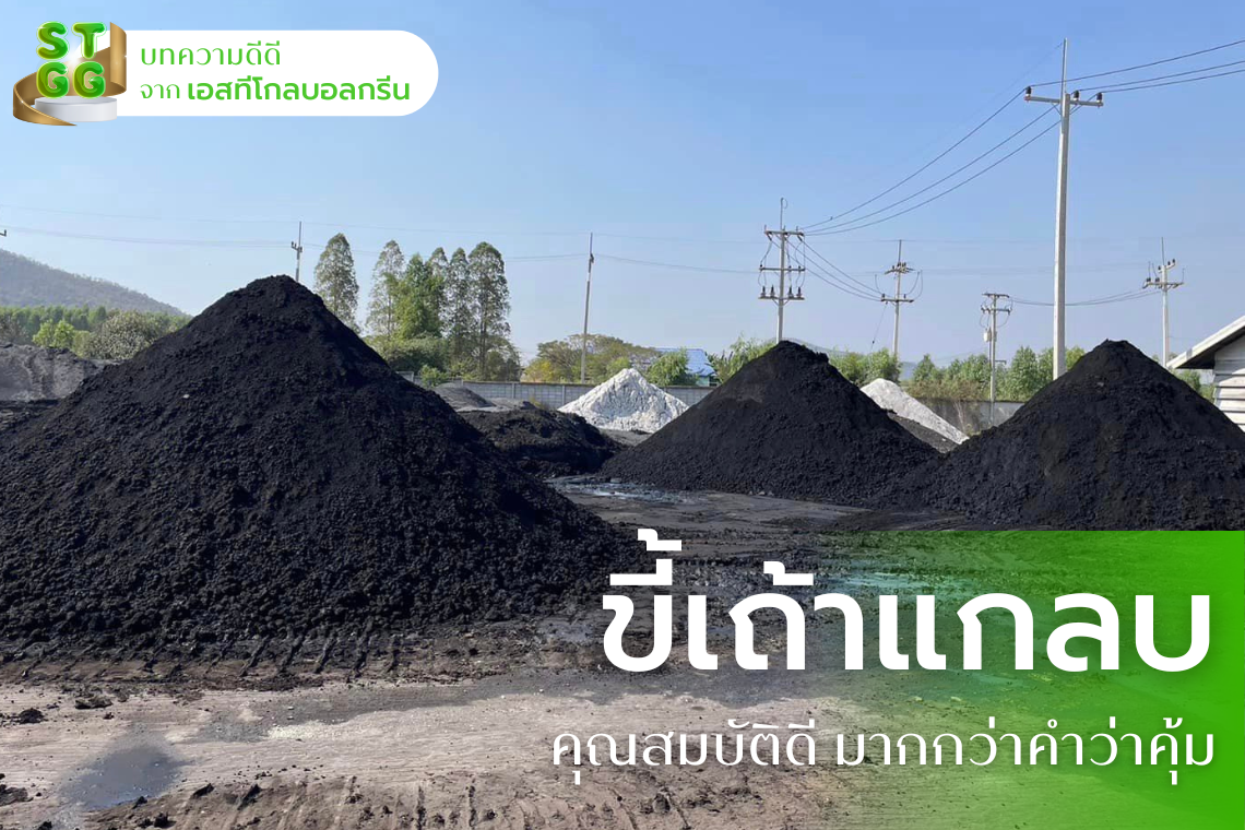 ขี้เถ้าแกลบ เอสทีโกลบอลกรีน ขี้เถ้าแกลบ เอสทีโกลบอลกรีน