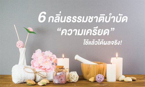 6 กลิ่นธรรมชาติบำบัดความเครียด ที่ใช้แล้วได้ผลจริง!