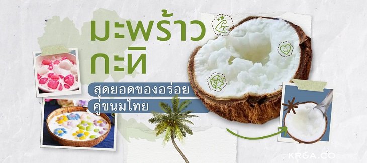 มะพร้าวกะทิ สุดยอดของอร่อยคู่ขนมไทย มะพร้าวกะทิ สุดยอดของอร่อยคู่ขนมไทย