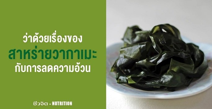 ว่าด้วยเรื่องของ สาหร่ายวากาเมะ กับการลดความอ้วน