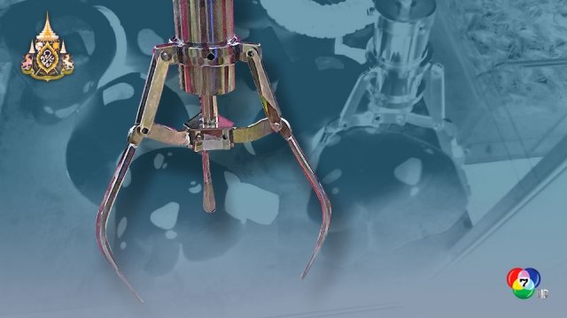 มท.สั่งห้ามออกใบอนุญาต ตู้คีบตุ๊กตาอัตโนมัติ ชี้โทษหนักคุก 2 ปี ปรับ 2 พัน มท.สั่งห้ามออกใบอนุญาต ตู้คีบตุ๊กตาอัตโนมัติ ชี้โทษหนักคุก 2 ปี ปรับ 2 พัน