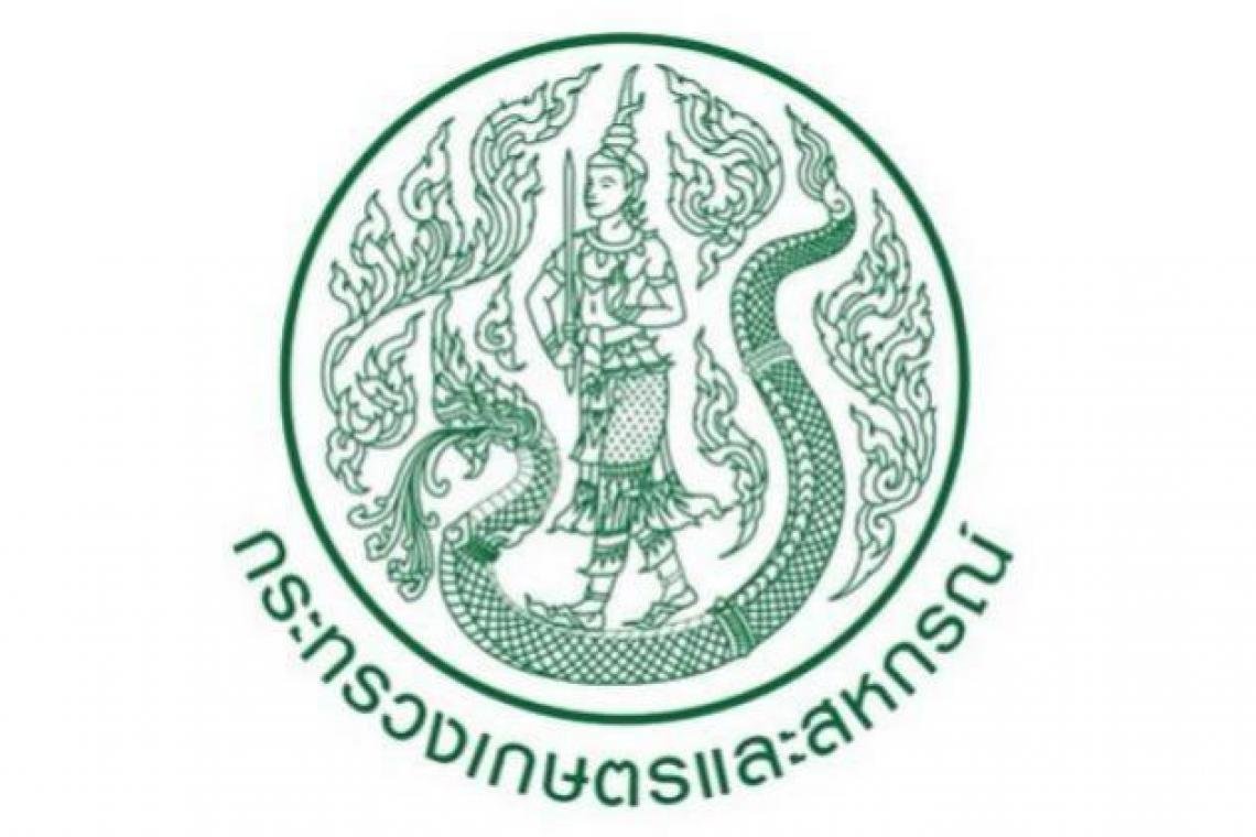 ไขข้อข้องใจ ทะเบียนเกษตรกร ด้านพืช กับกรมส่งเสริมการเกษตร #โควิด19 #เราไม่ทิ้งกัน