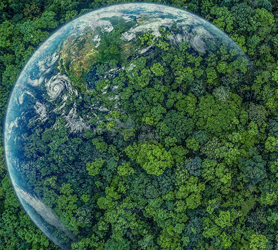 กู้วิกฤตภาวะโลกร้อนด้วยฉลากคาร์บอนฟุตพริ้นท์ของผลิตภัณฑ์ Salvaging the Global Warming Crisis with Product Carbon Footprint Labels  กู้วิกฤตภาวะโลกร้อนด้วยฉลากคาร์บอนฟุตพริ้นท์ของผลิตภัณฑ์ Salvaging the Global Warming Crisis with Product Carbon Footprint Labels