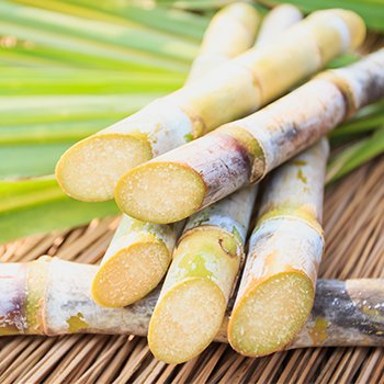 ฟิล์มบริโภคได้จากพืช: นวัตกรรมบรรจุภัณฑ์ยั่งยืนที่น่าจับตามอง Plant-based Edible Film: A Noteworthy Sustainable Packaging Innovation ฟิล์มบริโภคได้จากพืช: นวัตกรรมบรรจุภัณฑ์ยั่งยืนที่น่าจับตามอง Plant-based Edible Film: A Noteworthy Sustainable Packaging Innovation