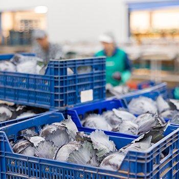 Cold Chain Logistics: การจัดการผลผลิตทางการเกษตรและอาหารเพื่อเป้าหมาย SDGs ด้วย        โลจิสติกส์โซ่ความเย็น Cold Chain Logistics: Managing Agricultural and Food Products with Cold Chain Logistics to Achieve SDGs Cold Chain Logistics: การจัดการผลผลิตทางการเกษตรและอาหารเพื่อเป้าหมาย SDGs ด้วย        โลจิสติกส์โซ่ความเย็น Cold Chain Logistics: Managing Agricultural and Food Products with Cold Chain Logistics to Achieve SDGs