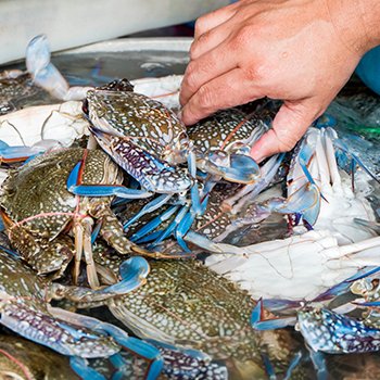 กรณีศึกษา: การวิเคราะห์โซ่คุณค่าของปูม้าในโรงงานแปรรูปปูม้าขนาดเล็ก Case Study: The Value Chain Analysis of a Small-Sized Blue Crab Manufacturer กรณีศึกษา: การวิเคราะห์โซ่คุณค่าของปูม้าในโรงงานแปรรูปปูม้าขนาดเล็ก Case Study: The Value Chain Analysis of a Small-Sized Blue Crab Manufacturer