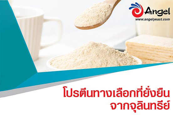 Angel Yeast…โปรตีนทางเลือกคุณสมบัติครบถ้วนที่ยั่งยืนจากยีสต์