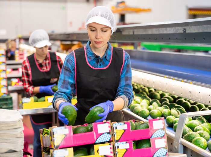 ลดความสูญเปล่าในองค์กรทั้ง 8 ประการสู่การเพิ่มคุณค่าด้วย วิถีแบบลีน Reducing the 8 Wastes in Organizations to Enhance Value with the Lean Approach ลดความสูญเปล่าในองค์กรทั้ง 8 ประการสู่การเพิ่มคุณค่าด้วย วิถีแบบลีน Reducing the 8 Wastes in Organizations to Enhance Value with the Lean Approach