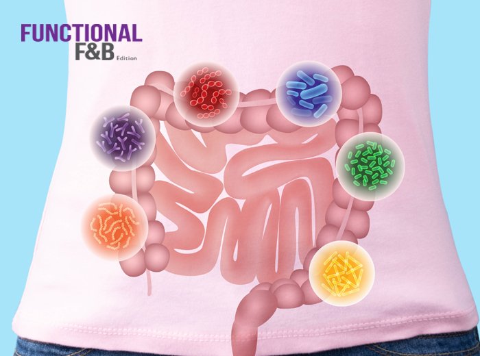 เทคโนโลยีการห่อหุ้ม: ปลดล็อกศักยภาพพรีไบโอติกส์และโพรไบโอติกส์ในผลิตภัณฑ์อาหารฟังก์ชันEncapsulation Technology:  Unlocking the Efficacy of Prebiotics and Probiotics for Next-Generation Functional Foods