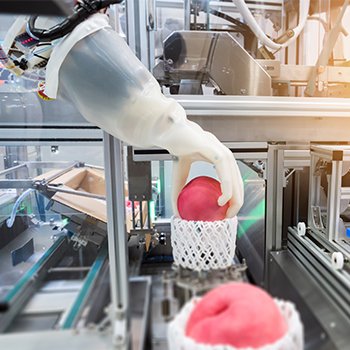 จากปัจจุบันสู่อนาคต: ความก้าวหน้าของเทคโนโลยีลำเลียงและการจัดเก็บสำหรับอุตสาหกรรมอาหาร From Present to Future: Advancements in Conveyance and Storage Technology for the Food Industry จากปัจจุบันสู่อนาคต: ความก้าวหน้าของเทคโนโลยีลำเลียงและการจัดเก็บสำหรับอุตสาหกรรมอาหาร From Present to Future: Advancements in Conveyance and Storage Technology for the Food Industry