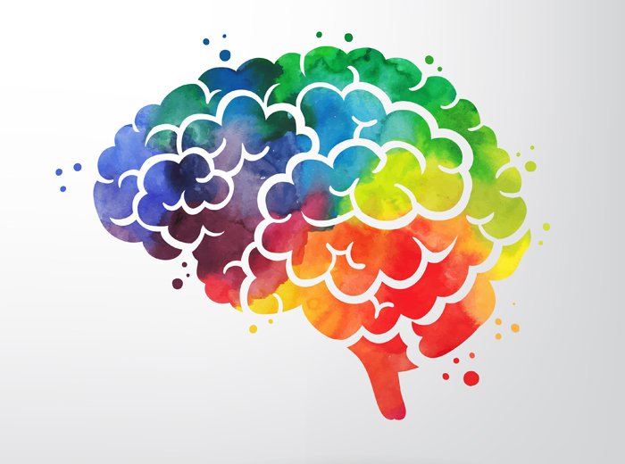 Brain Foods That May Help Prevent Alzheimer's and Dementia Brain Foods That May Help Prevent Alzheimer's and Dementia